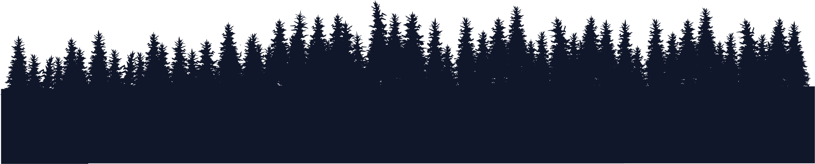 Aventura